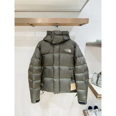 The North Face Hooded Down Jacket [3 styles] — source listing photo