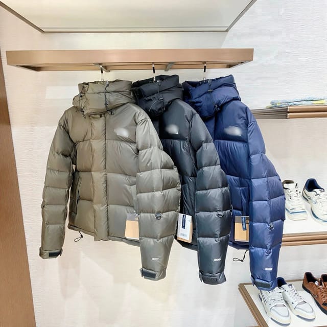 The North Face Hooded Down Jacket [3 styles] — source listing image